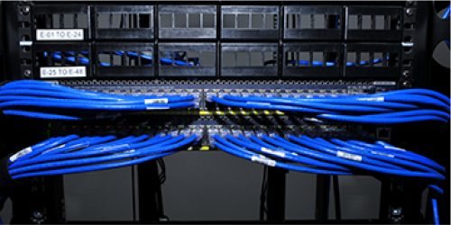 group of blue ethernet cables plugged in