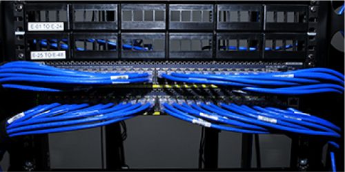 Asset-4@3x-100.jpg group of blue ethernet cables plugged in